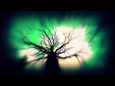 Martin Goodwin - Coldhan