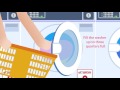 Laundry Basics