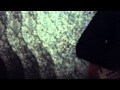 Nick Jaina - High Beams