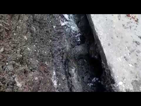 VID 20200519 WA0126 b1