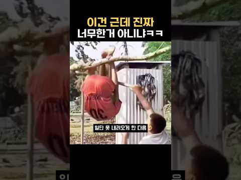 이건 근데 진짜 너무한거 아니냐ㅋㅋ