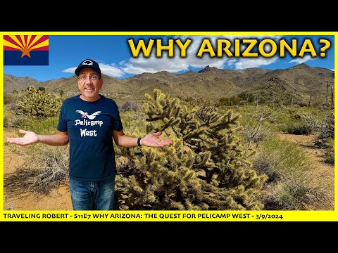 Why Arizona? The Quest for Pelicamp West - S11E7