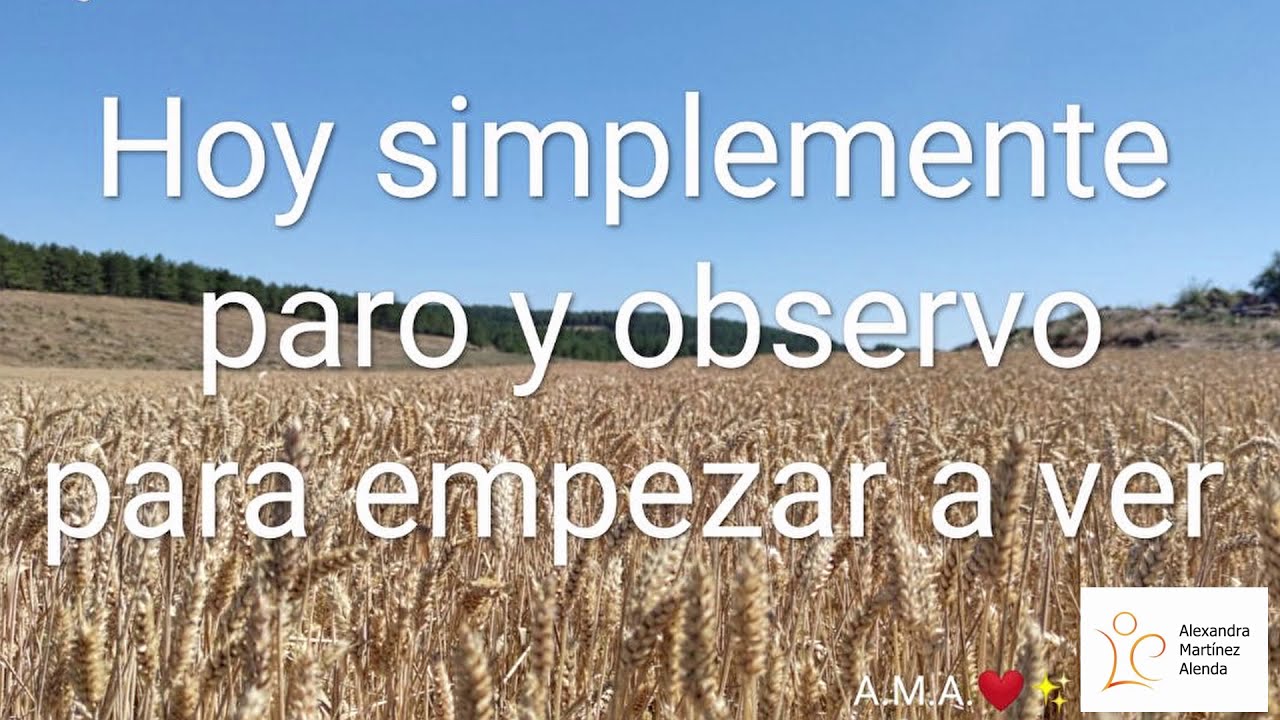 <b>Pregunta 22:</b> Hoy simplemente paro y observo para empezar a ver