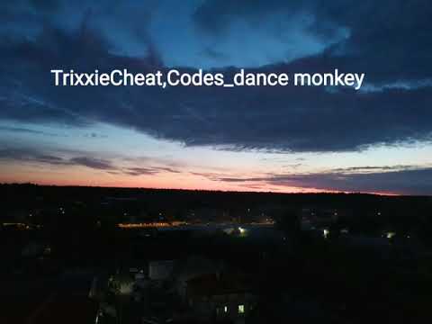 Trixxie & Cheat Codes_dance monkey