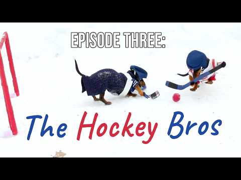Ep 3: Crusoe & Oakley the Dachshunds Compete in a Hockey Game!