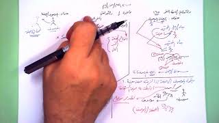 1 ★ الموصوف الصفة image