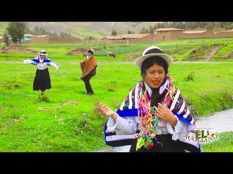 ARACELY LEIVA DAMIAN 2019 - LAGRIMAS