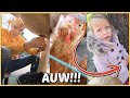 HiER SCHROK LUCiLLA VAN OP DEZE MEGA KiNDERBOERDERiJ! ? | Bellinga Vlog #2245