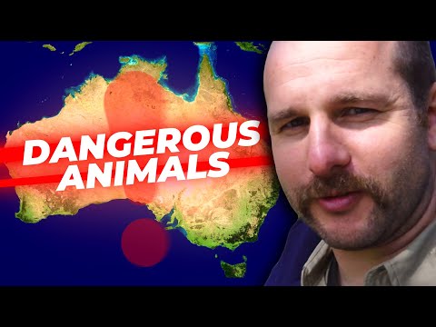 Terrifying Australian Animals Up Close
