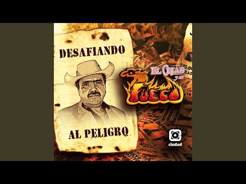 A las Ordenes del Jefe