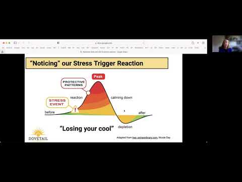 We Are Resilient™ Resilience Skills for ACE Screening