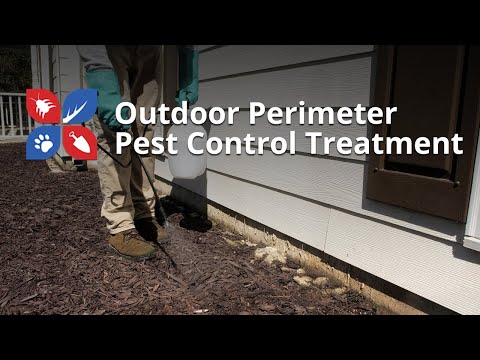  Outdoor Perimeter Pest Treatment Video 