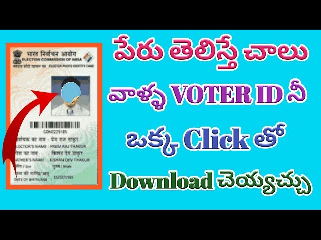 Voter Voter