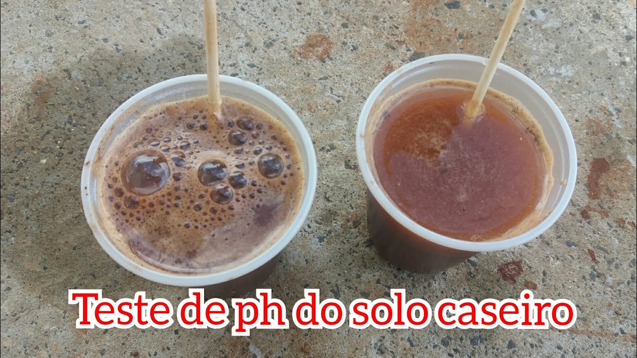 TESTE DE PH DO SOLO CASEIRO - SUPER FÁCIL #17