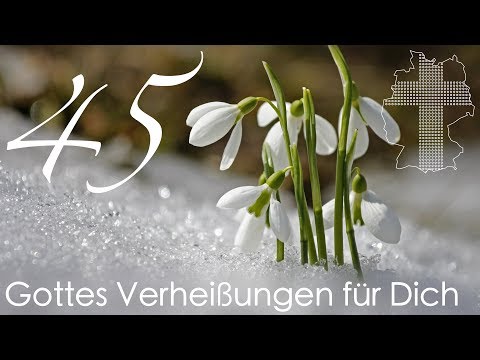 Gottes Verheißungen für Dich - Johannes 1,12 | Videokalender 45/365 - Deutschland braucht JESUS
