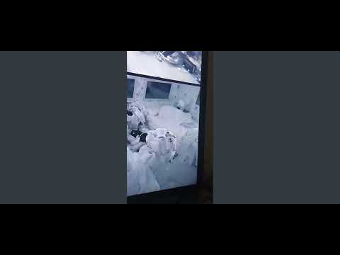 📣#BBB22 Eliezer e Maria no vuco vuco ! Inscrevam-se para ficar por dentro do bbb!