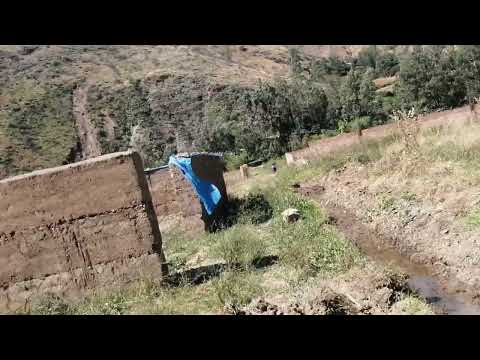 INGRESO 1-Lote Conchamarca-Quicacan-Ambo-Huánuco