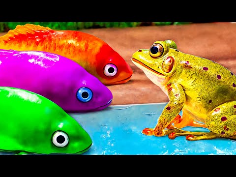 Stop Motion ASMR – Rainbow Catfish & Cute Frogs fight with Colorful Koi Fish & Pink Eel!
