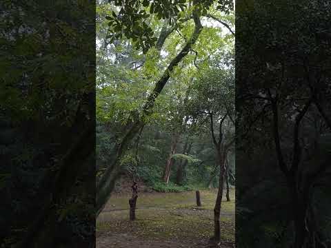 Sacred Portal #9 – Thunder & Wind