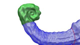 Geometry Seam Carving