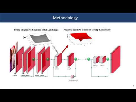 Hessian-Aware Pruning and Optimal Neural Implant
