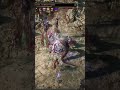 [Path of Exiles 2] 0.2.1, I found a Spectre that can deal 1 million damage per hit. It's insane!