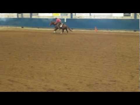 RT Cold Hard Cash and Chris Dawson in the Reining