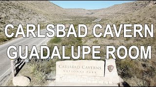 Carlsbad Cavern - Guadalupe Room Survey Trip
