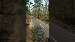 Download lagu Setting bebek 200cc mp3