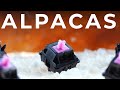 Smooth Clacks Alpacas Noir Rose Switch Review