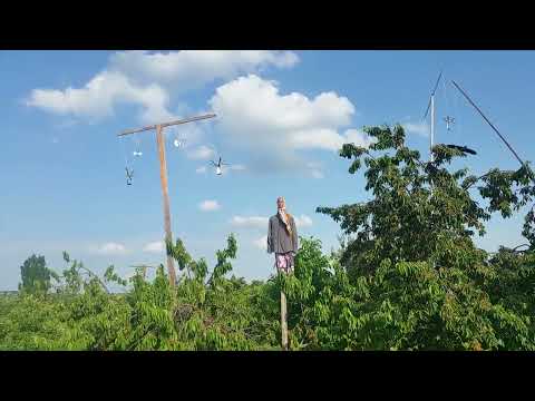 sperietoare de ciori ,grauri ,cotofeni 2