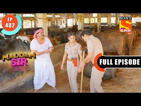 Karishma Goes Looking For Minister's Buffalo - Maddam Sir - Ep 482 - Full Episode - 22 April 2022