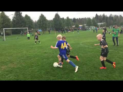 NuPS 08 Mustat - SibboV Gul