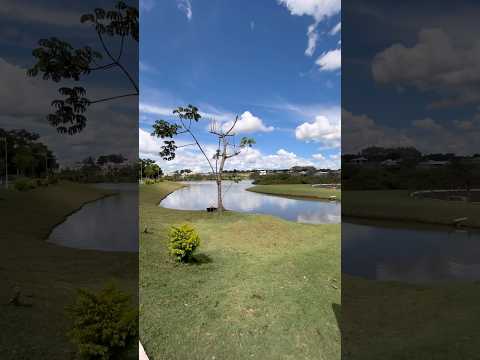 CONFIE EM DEUS 🙏🏽 #shorts