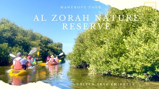 Kayak Mangrove Tour!! Discover Dubai's Hidden Natural Gem in a Serene Adventure | 4K | Al Zorah