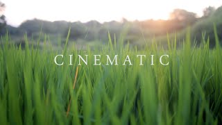 Download lagu 4K Nature Cinematography | Cinematic Background Music NO COPYRIGHT !!! NIKON D5300 mp3
