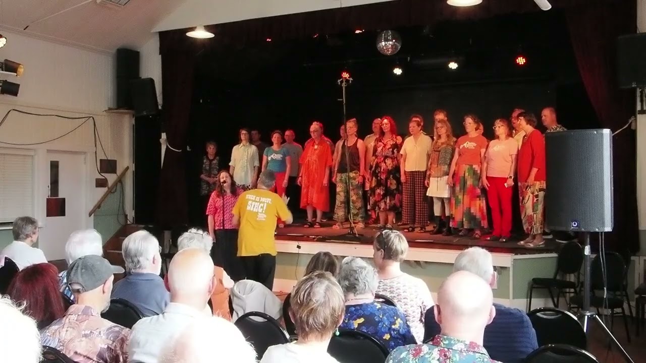 Big Yellow Taxi-Paekakariki Village Hall 23 November 2025