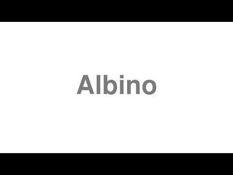 How to Pronounce "Albino"