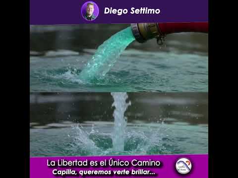 LOS MIRES POR DONDE LOS MIRES, SON CHORROS 🤣🤣🤣  #milei #noticias #humor #capilladelmonte