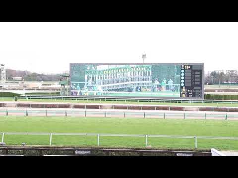 [On-site footage] From Chrono Genesis' first place finish at the 2020 Arima Kinen to Blast Onepie...