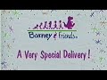 Barney Song Compilation A Very Special Delivery