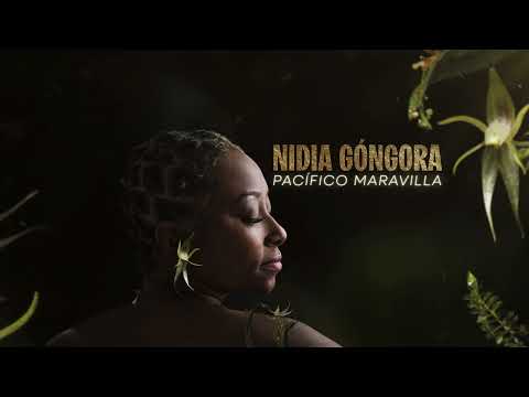 Tu Corazón  - Nidia Góngora (Visualizer)