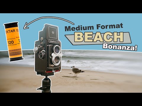 Medium Format Beach Bonanza! (Yashica D and Kodak Ektar 120)