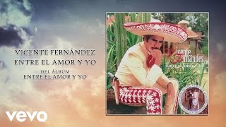 Vicente Fernández - Entre El Amor Y Yo (Cover Audio)
