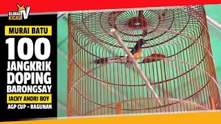 Download lagu AGJ CUP #1 : Gile Ndroo BARONGSAY Murai Batu Makan 100 Jangkrik Setiap Hari mp3