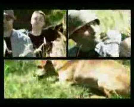 FankaDeli + MC Gőz - Rap neked meg a csajodnak (2004)