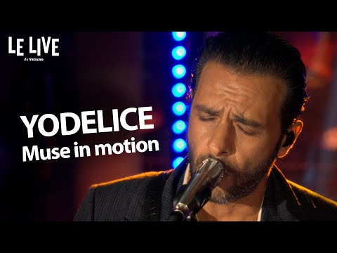 Yodelice (@yodelicemusic) - Muse in motion (live)