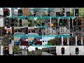 Sydney Traffic Lights Featuring Pedestrian Crossing Buttons