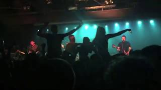 The Rosadocs - No 54