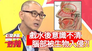 戲水後意識不清，全因腦部被生物入侵？！【醫師好辣】20200826 part3 EP1004 賈蔚 林婷